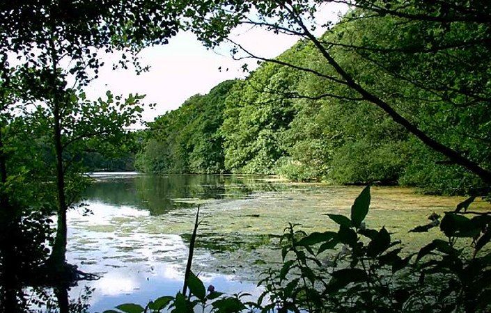 The Keg, Etherow Country Park #Stockport