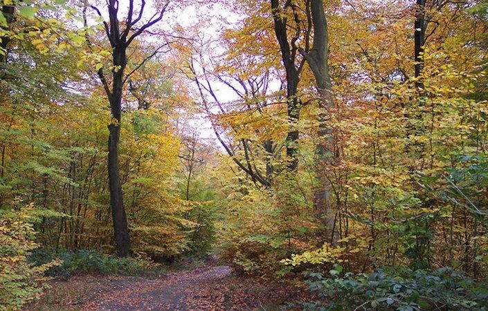 Haigh Woodland Park #Wigan