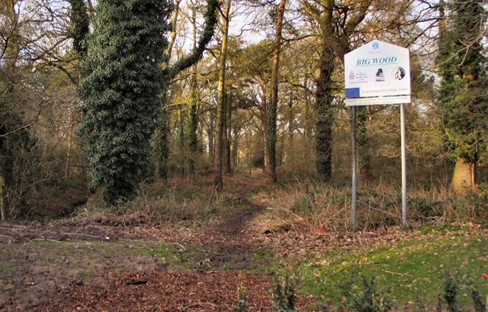 Big Wood Wythenshawe #Manchester