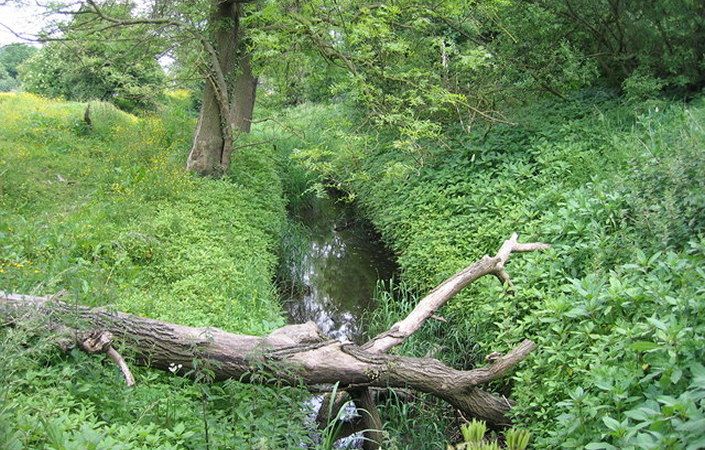 Old Ees Brook #Urmston #Trafford