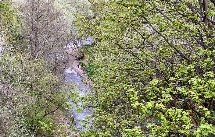 Bradshaw Brook #Bolton