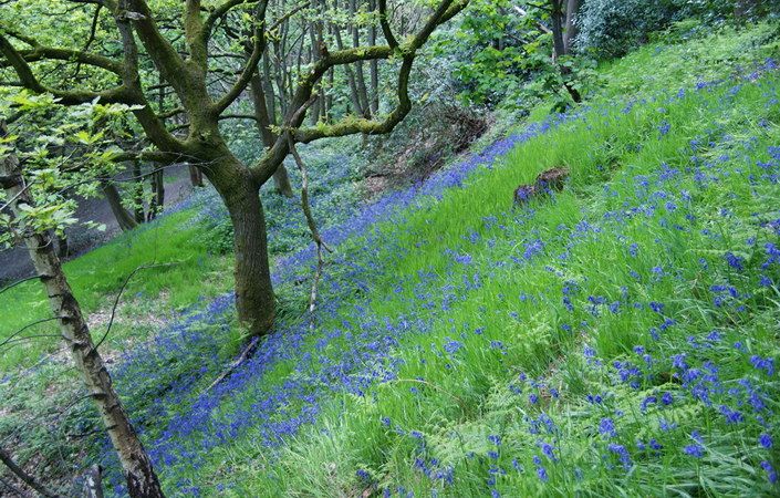 Hurst Clough #Tameside
