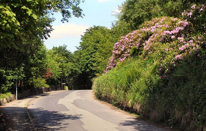 Ogden Lane, Newhey #Rochdale