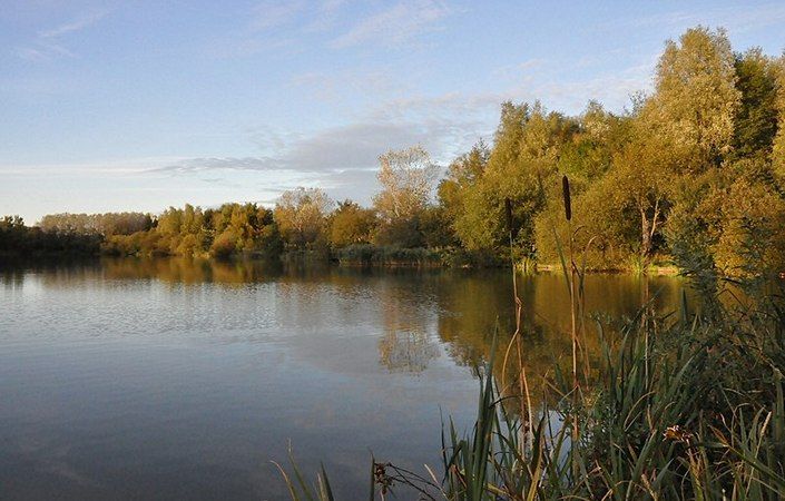 Polly's Pond, Bickershaw #Wigan