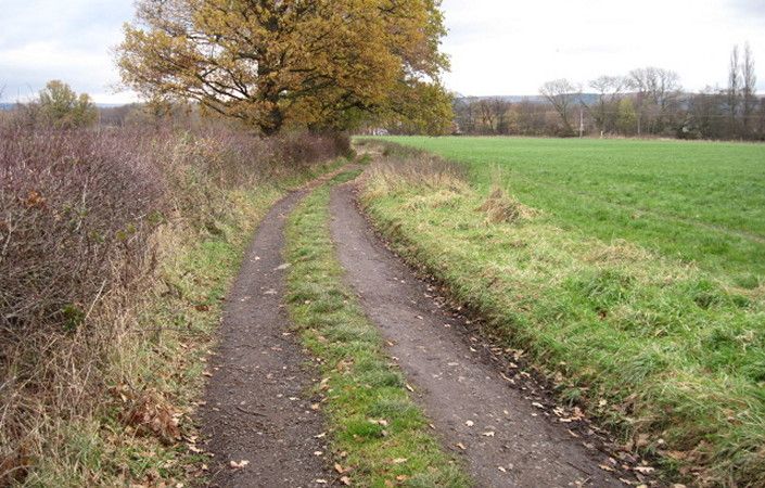 Field path #Stockport