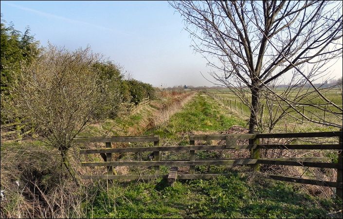 Cadishead Moss #Salford