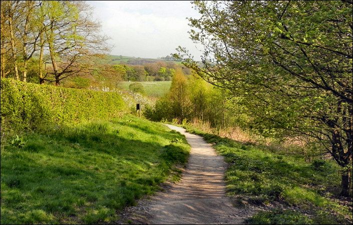 Ousel Nest Meadows #Bolton