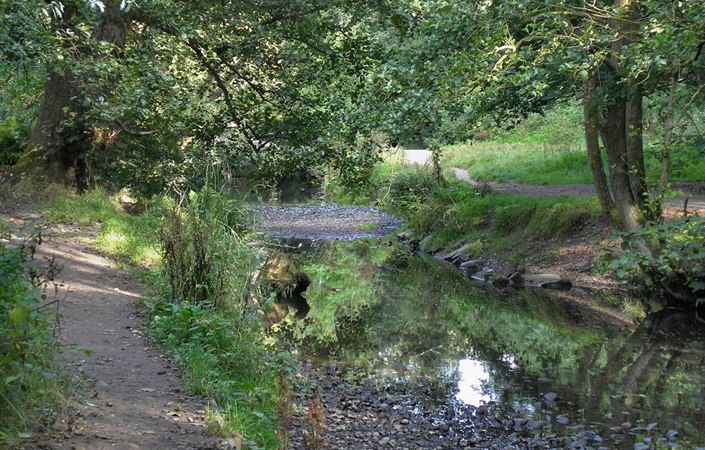 Lady Brook #Stockport