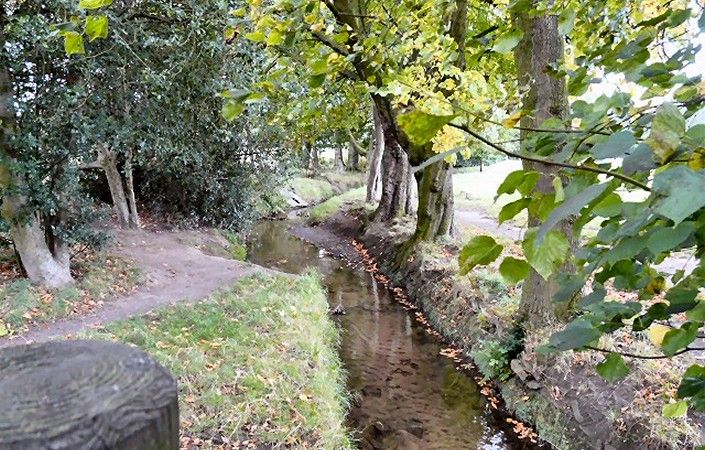 Torkington Park #Stockport