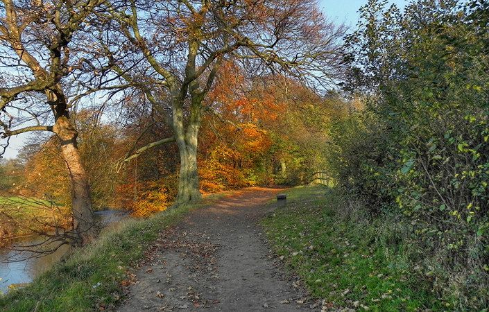 River Tame #Tameside