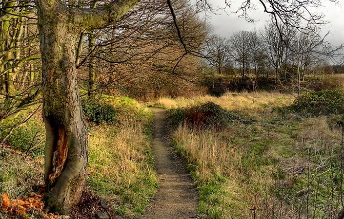 Hough End Clough #Manchester