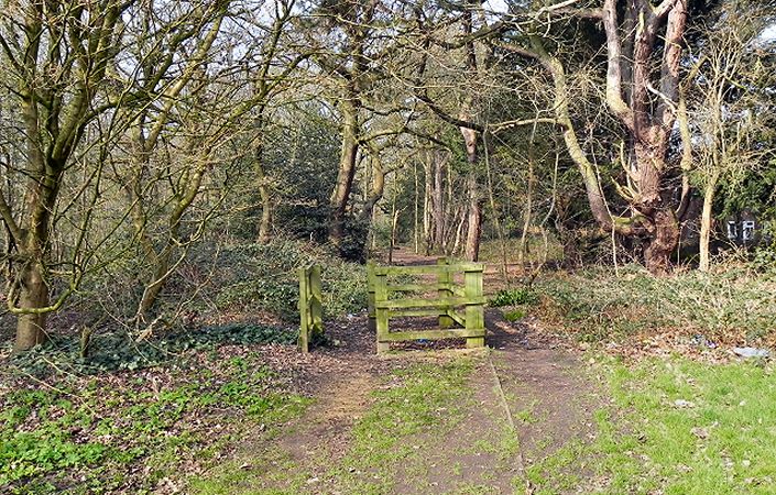 Firs Wood #Sale #Trafford