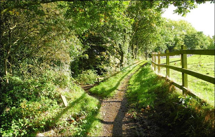 Boodle Wood top path #Oldham