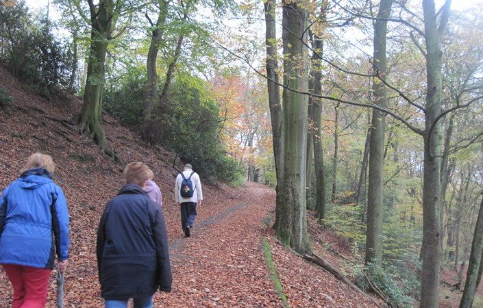 Boggart Hole Clough #Manchester