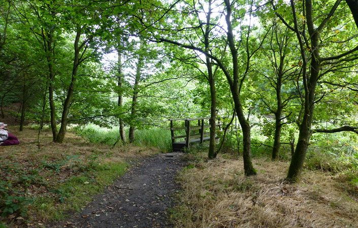 Shore Lane Brook #Rochdale