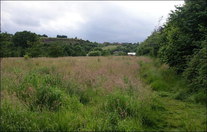 Glodwick Lows Nature Reserve #Oldham
