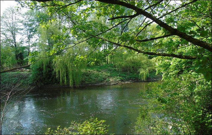 River Irwell at Kersal Dale #Salford