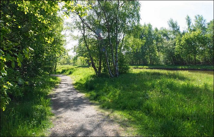 Path by the Bridgewater Canal #Salford