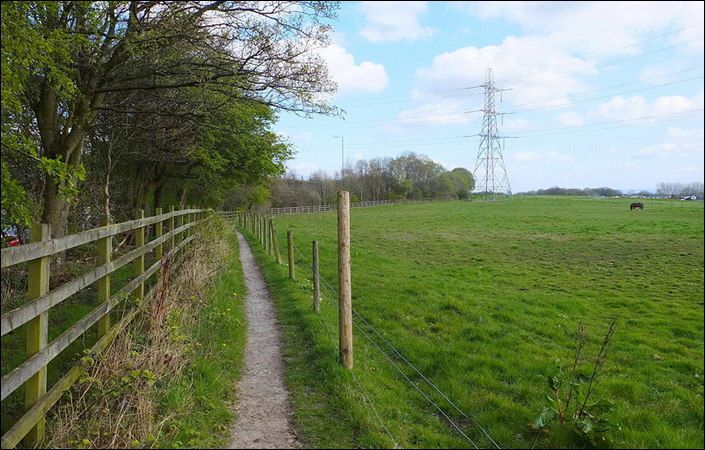 Path North of Wardley Grange #Salford