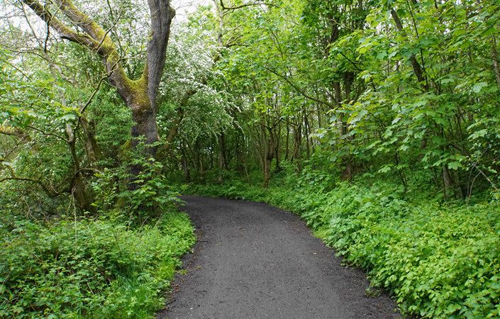 Banky Meadow #Trafford