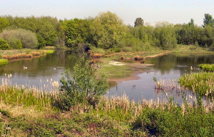 Pennington Flash Wetlands Area (Silver Route) - GM Walking