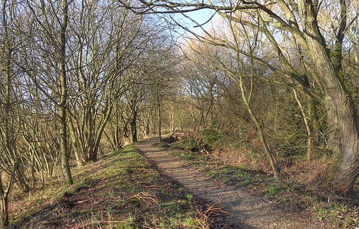 Timperley Flood Basin #Trafford