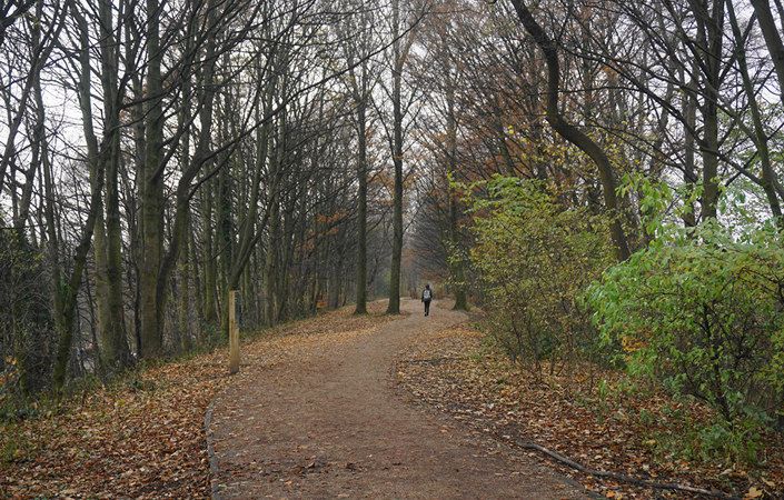 Monton and Roe Green Loopline Heritage Trail #Salford