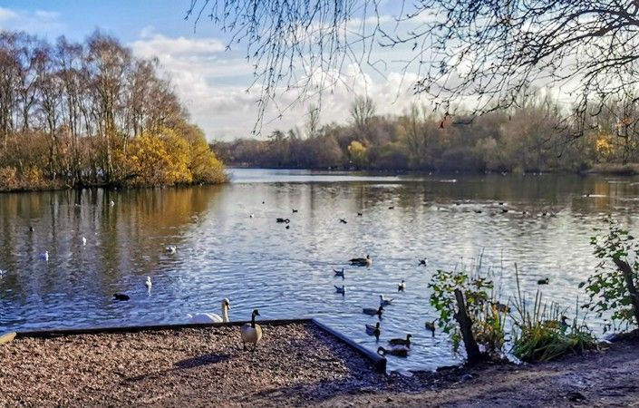 Chorlton Water Park