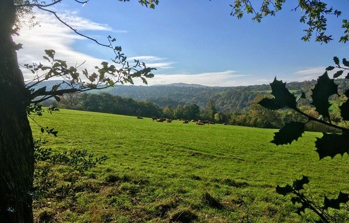View from the track above Strines