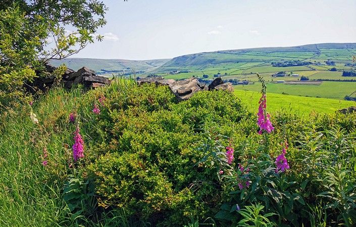 A view from Long Lane