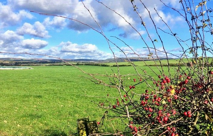 Looking back at Winter Hill & the West Pennines