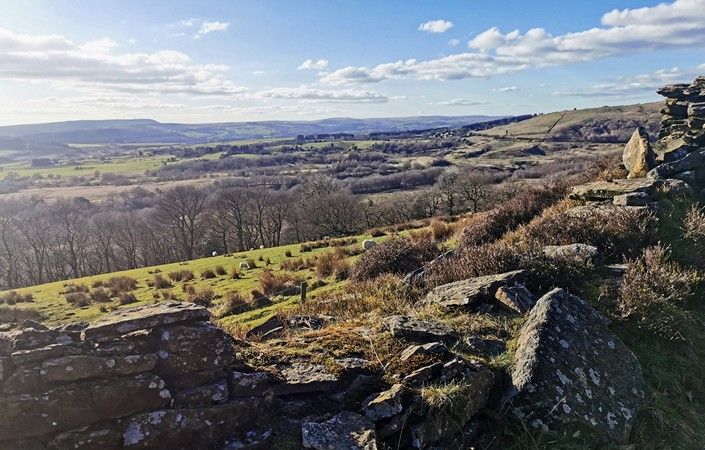 Views over Redisher Woods from Holcombe Hill