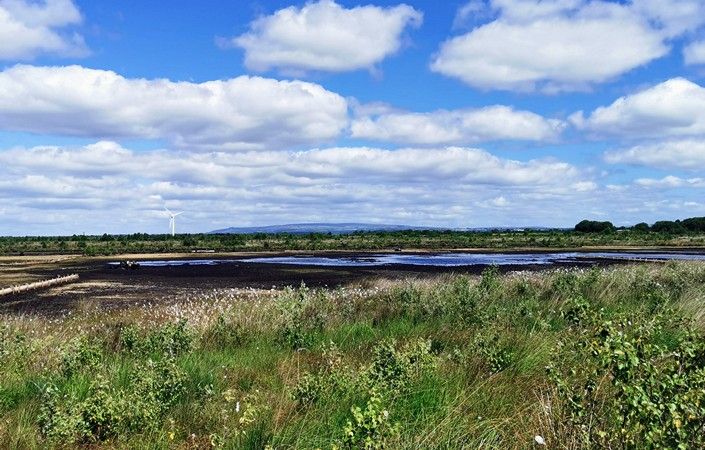 Winter Hill from Little Woolden Moss