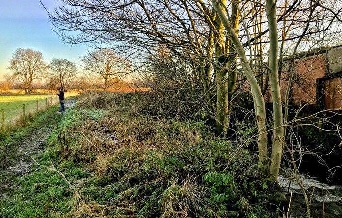 Bedford Brook near Leigh